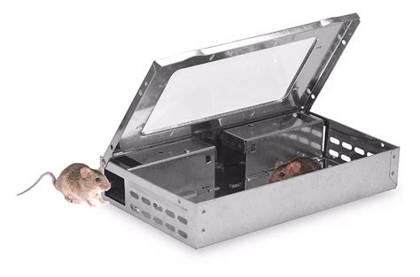 metal box mouse traps|lowest price mouse trap.